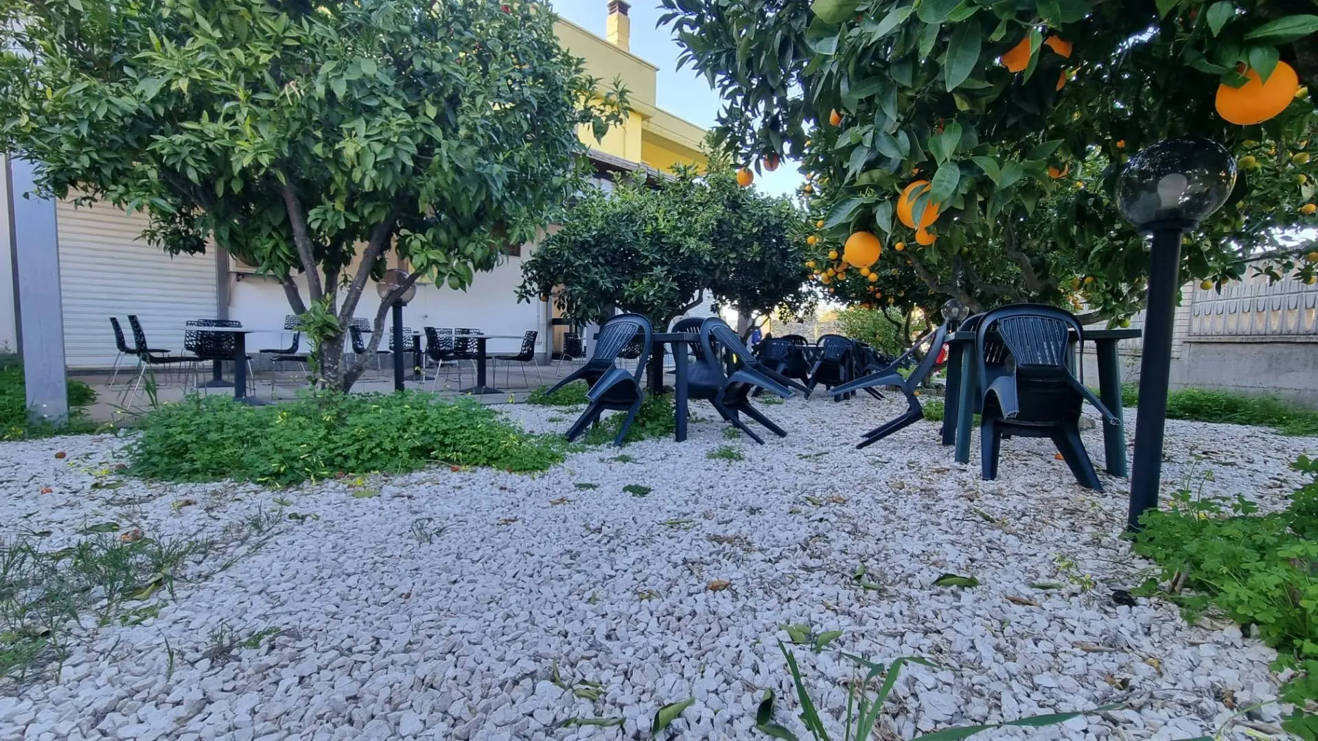 Immagine per Attività Commerciale in vendita a Villaspeciosa Via Roma 