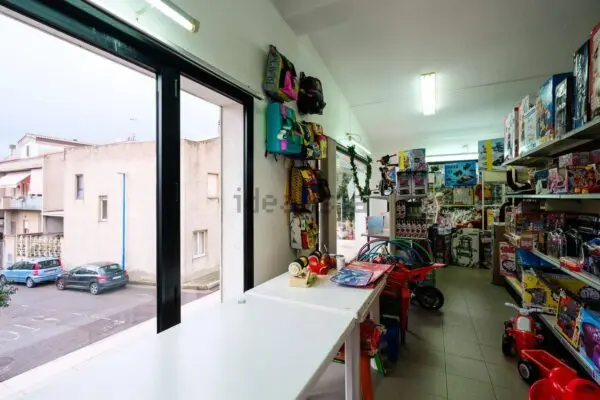 Locale Commerciale via Delle Rondini 1, Villasalto