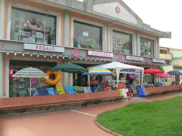 Locale Commerciale via Delle Rondini 1, Villasalto