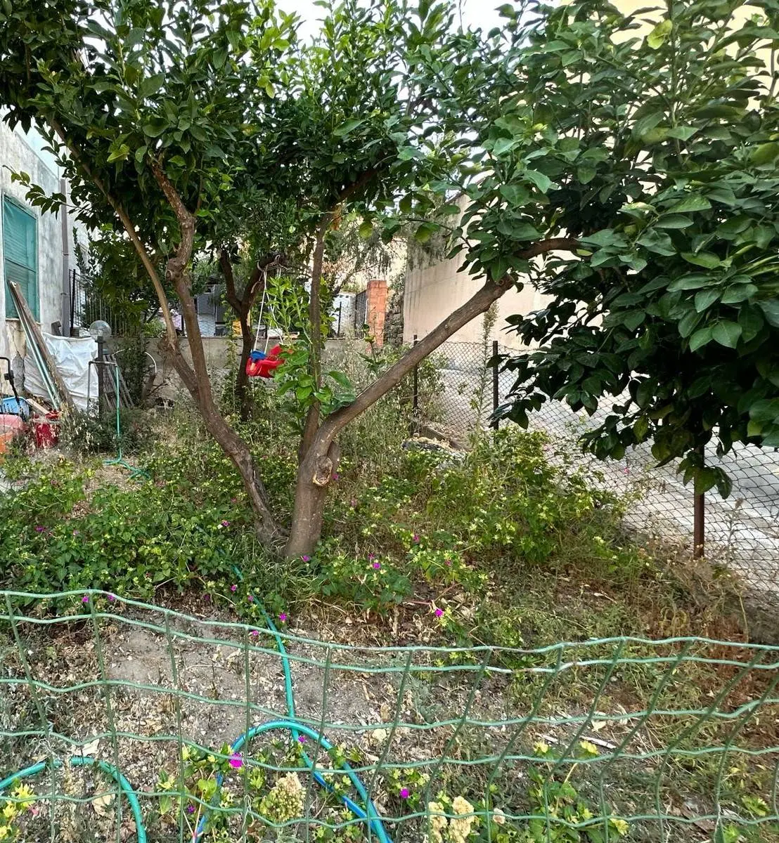 Immagine per Appartamento in vendita a San Vito Via Roma