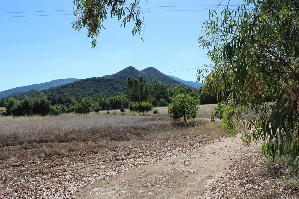 Immagine per Terreno Agricolo in vendita a Castiadas Via San Pietro