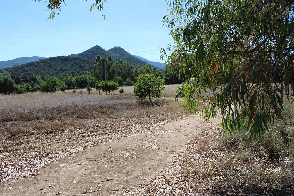 Immagine per Terreno Agricolo in vendita a Castiadas Via San Pietro