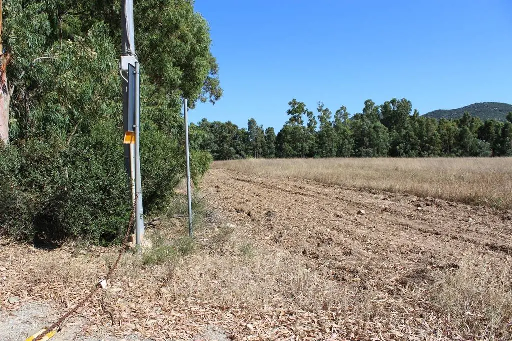Immagine per Terreno Agricolo in vendita a Castiadas Via San Pietro
