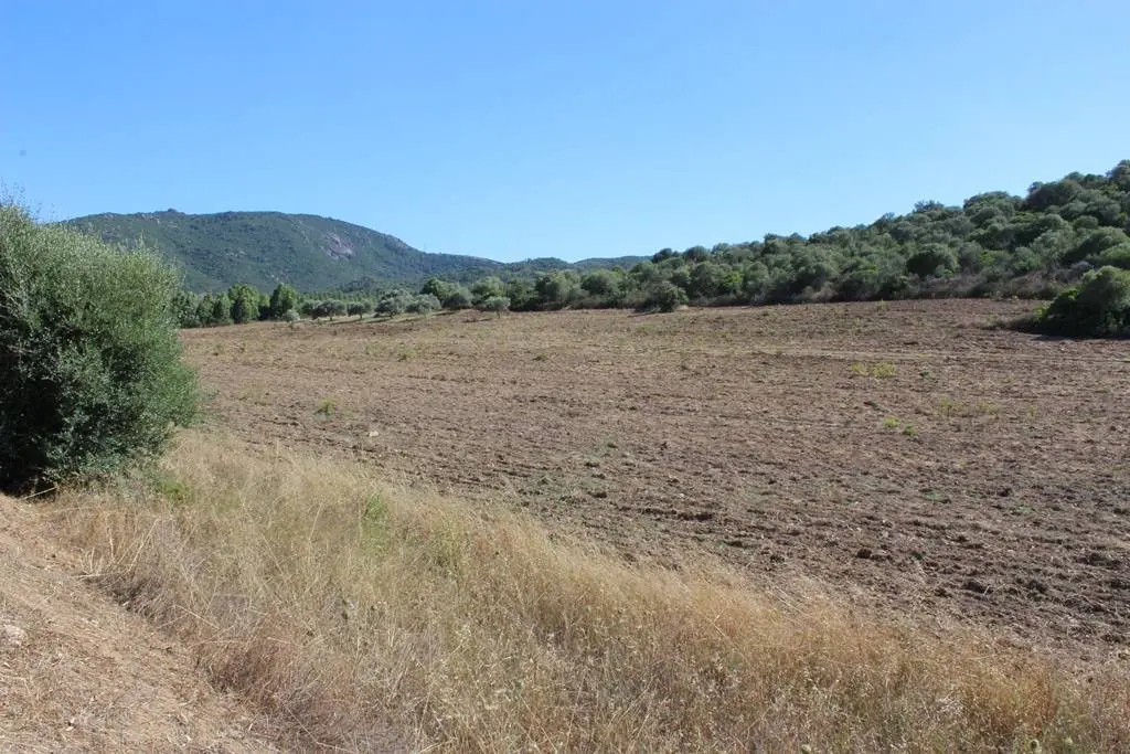 Immagine per Terreno Agricolo in vendita a Castiadas Via San Pietro