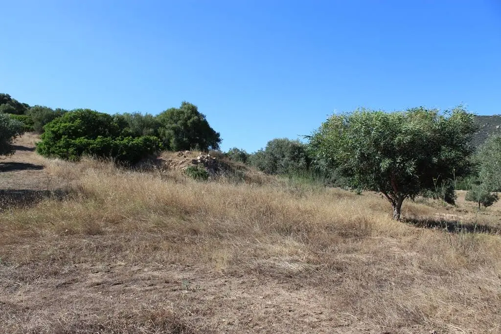 Immagine per Terreno Agricolo in vendita a Castiadas Via San Pietro