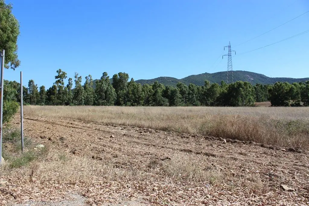 Immagine per Terreno Agricolo in vendita a Castiadas Via San Pietro