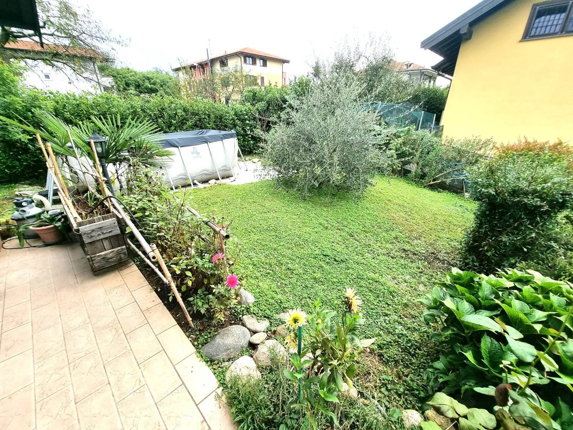 Immagine per Villa in vendita a Borgo Ticino Via Principale