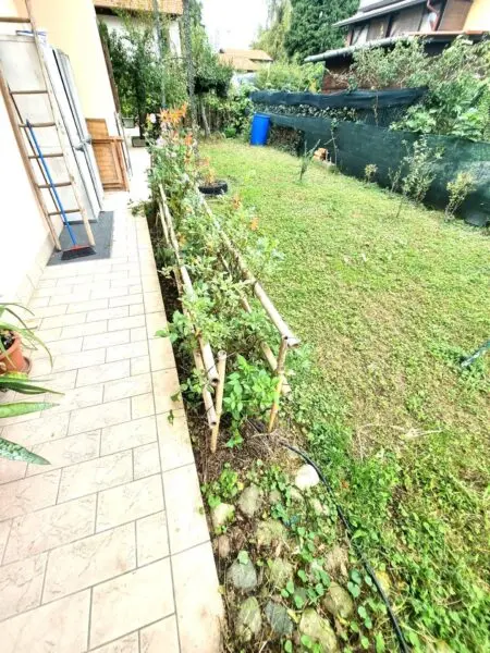 Villa via Principale, Borgo Ticino