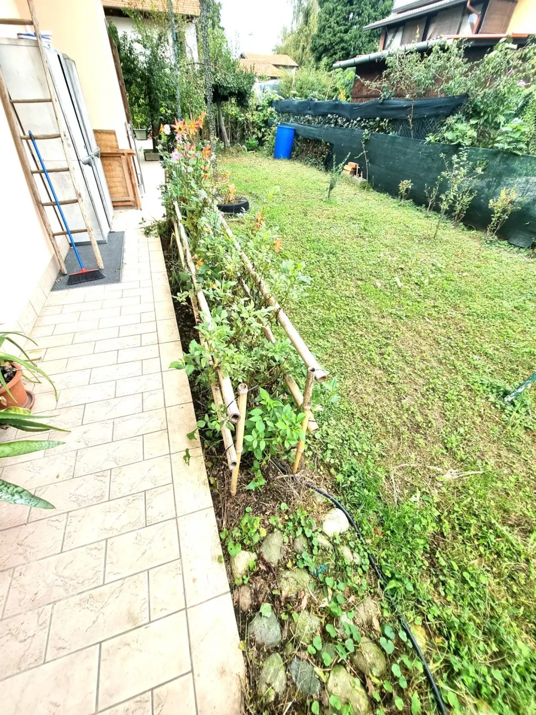 Immagine per Villa in vendita a Borgo Ticino Via Principale