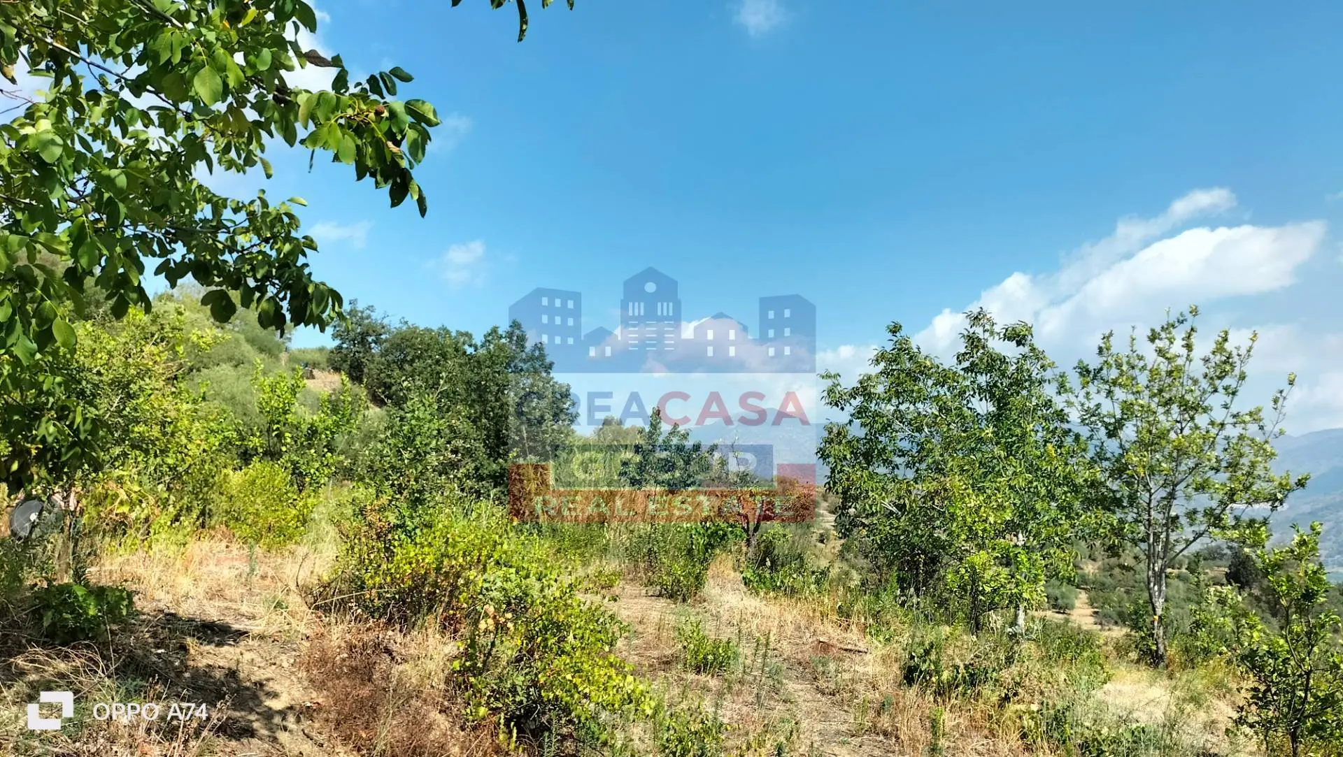 Immagine per Agriturismo in vendita a Calatabiano Contrada Gurnazzo