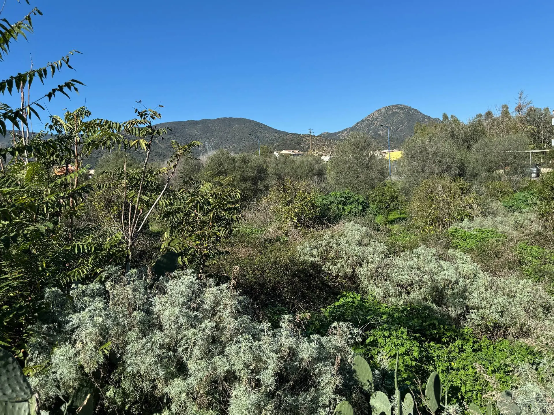 Immagine per Terreno Edificabile in vendita a San Vito Via Monte Narba