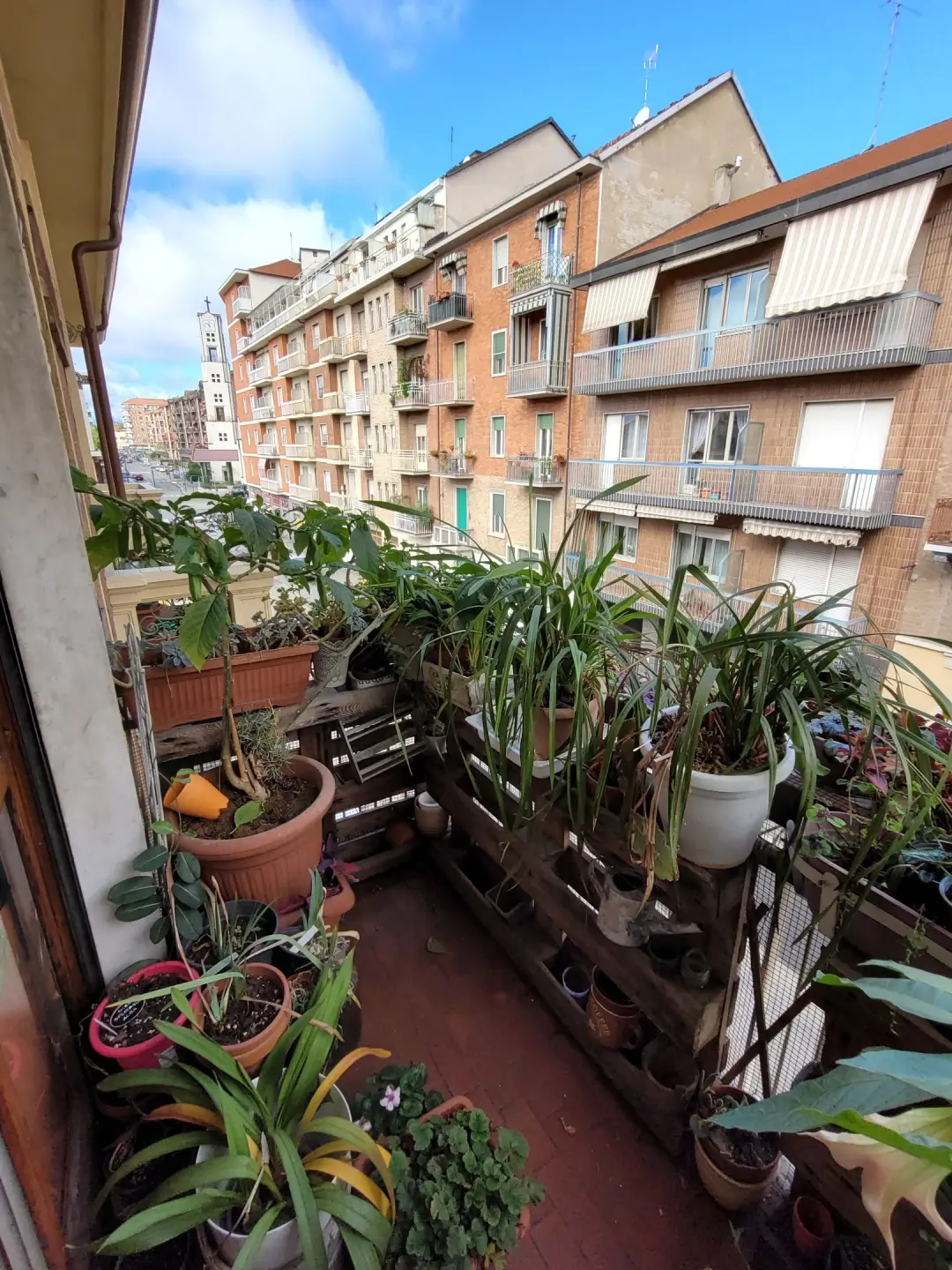 Immagine per Quadrilocale in Vendita a Torino Via Vandalino 29