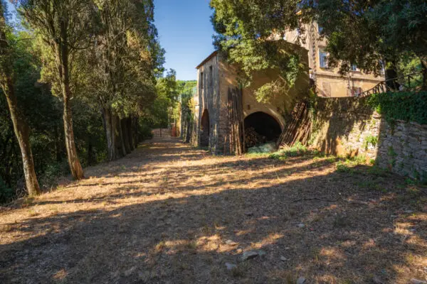 Immagine per Villa Bifamiliare in Vendita a Sassetta Via Del Poggio 50
