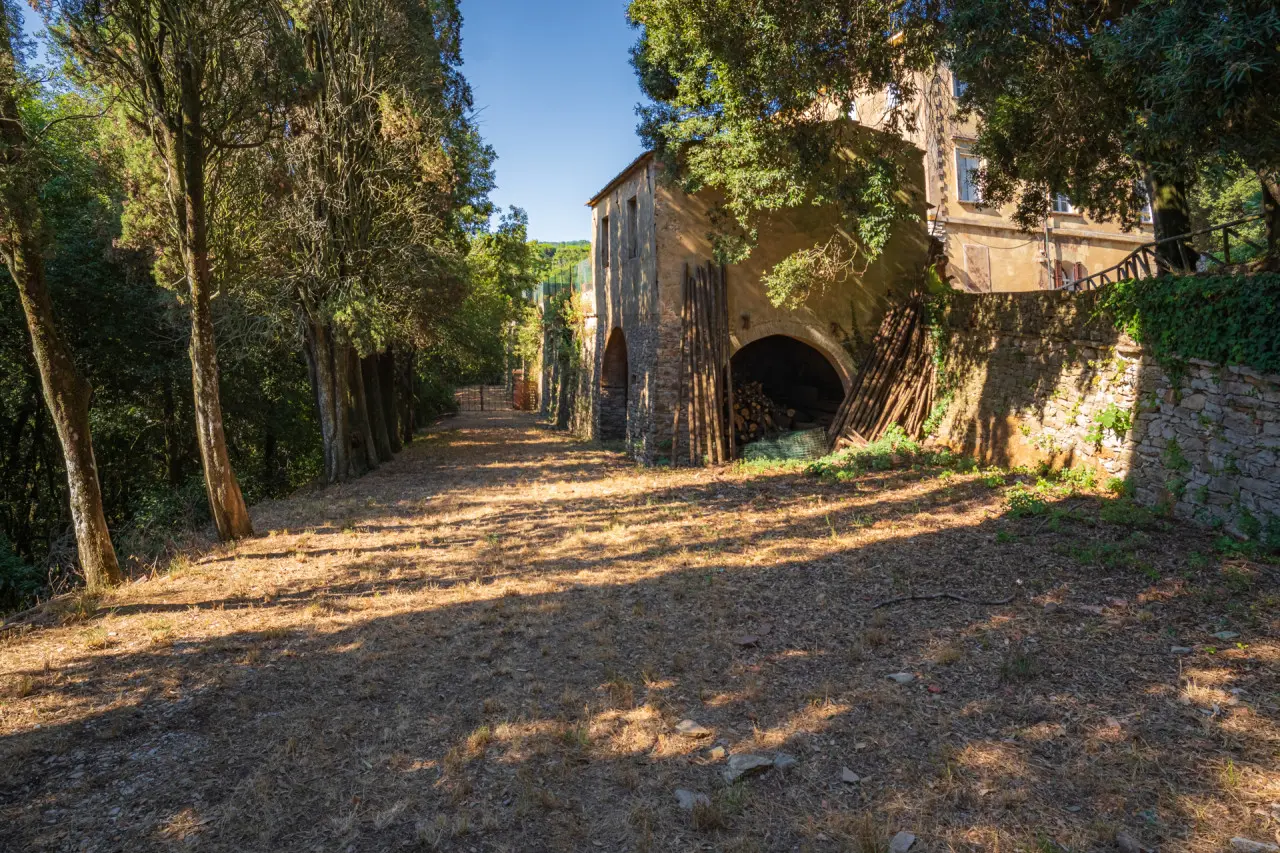 Immagine per Villa Bifamiliare in Vendita a Sassetta Via Del Poggio 50