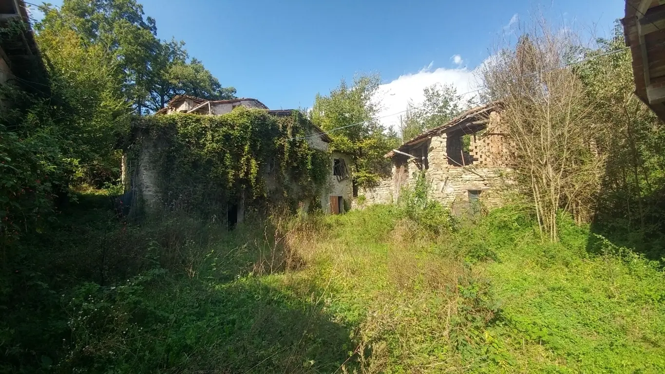 Immagine per Rustico in vendita a Zocca via Selve 3205