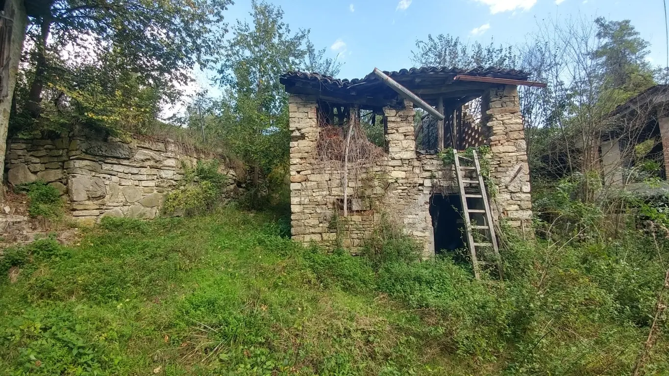 Immagine per Rustico in vendita a Zocca via Selve 3205