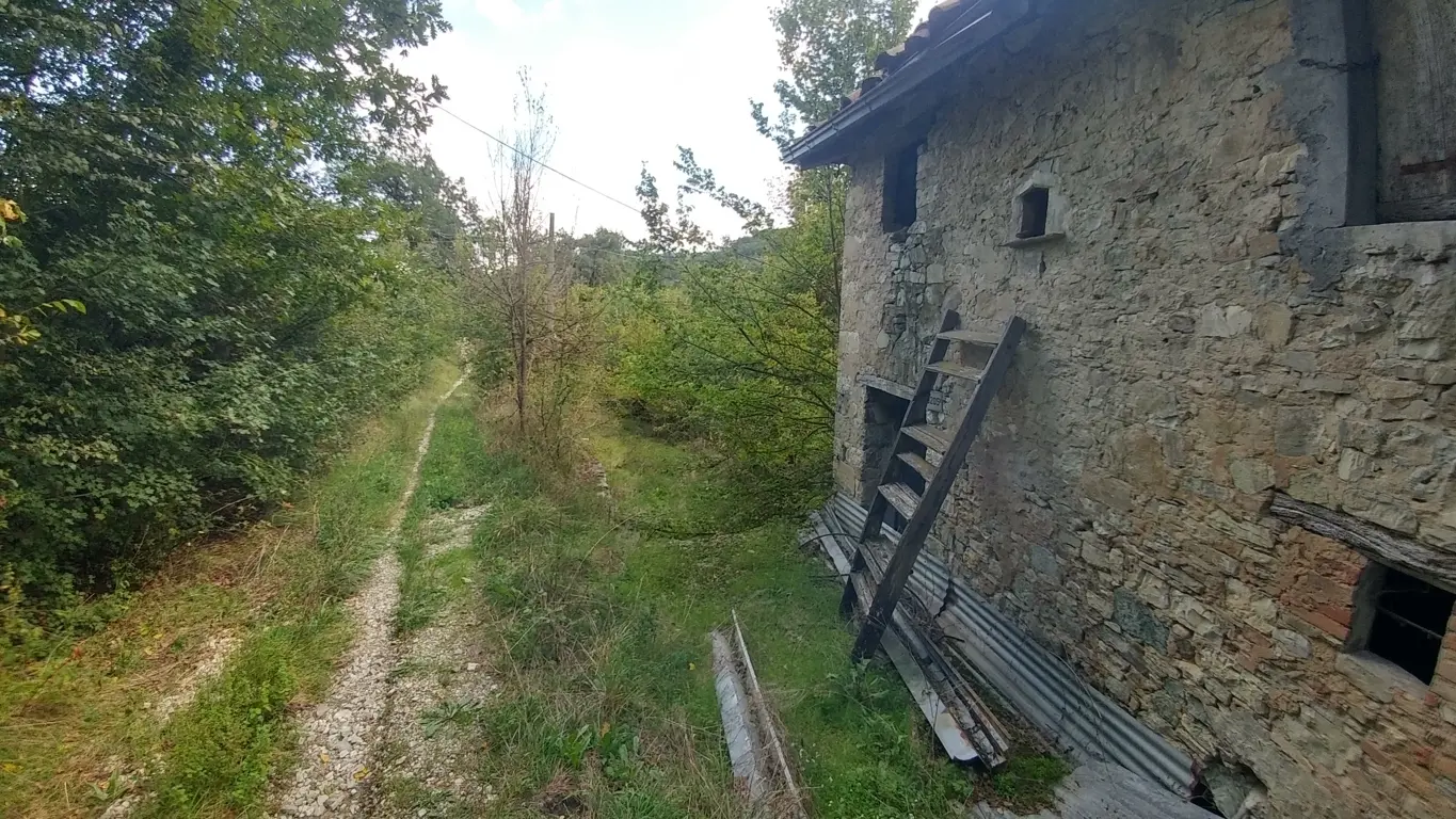 Immagine per Rustico in vendita a Zocca via Selve 3205