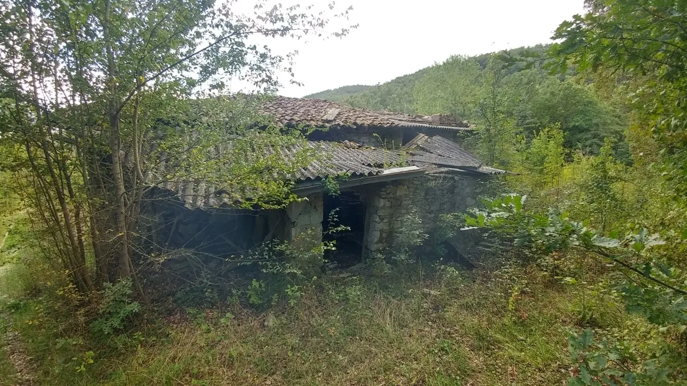 Immagine per Rustico in vendita a Zocca via Selve 3205