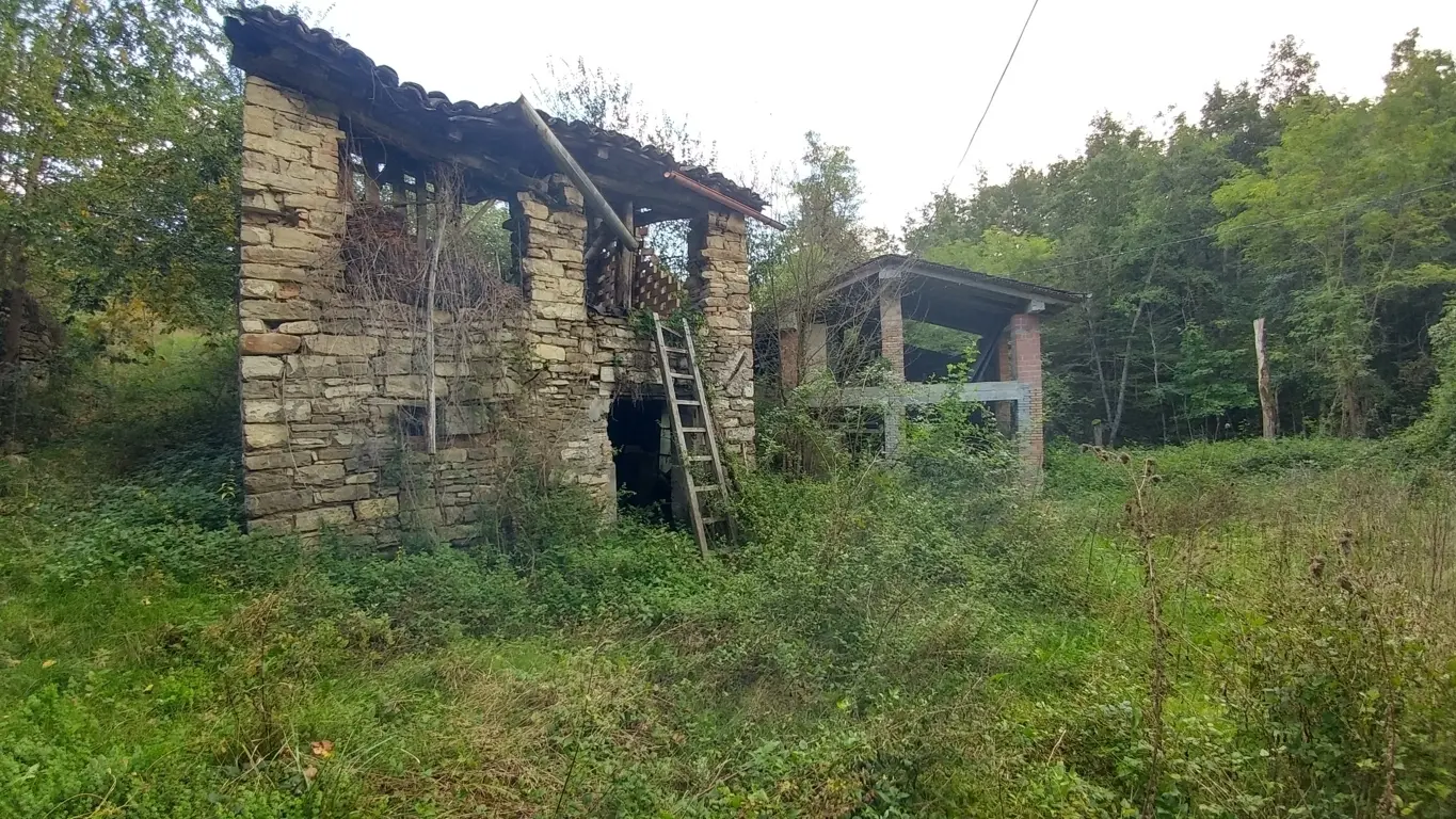 Immagine per Rustico in vendita a Zocca via Selve 3205