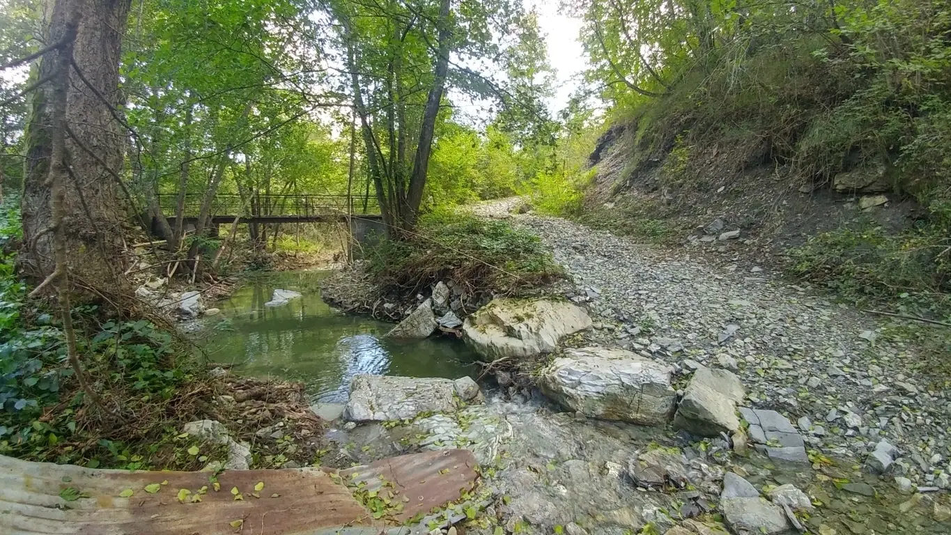 Immagine per Rustico in vendita a Zocca via Selve 3205