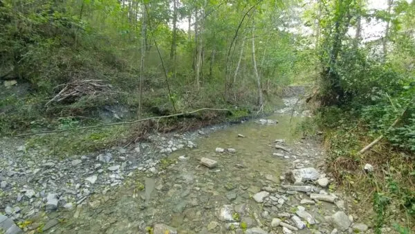 Rustico via Selve 3205, Zocca