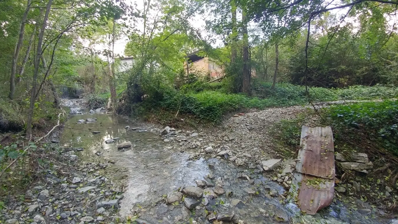 Immagine per Rustico in vendita a Zocca via Selve 3205