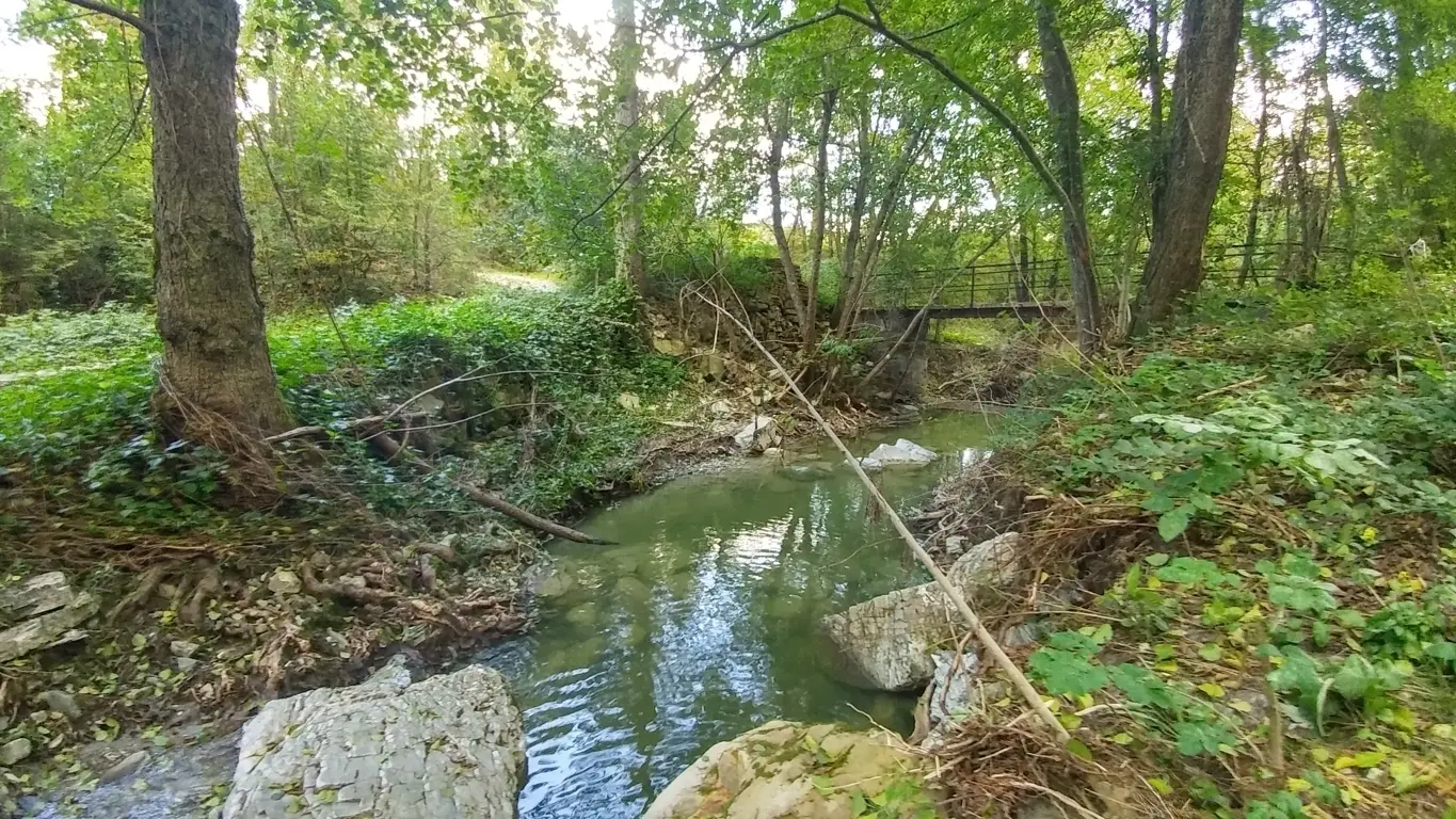 Immagine per Rustico in vendita a Zocca via Selve 3205