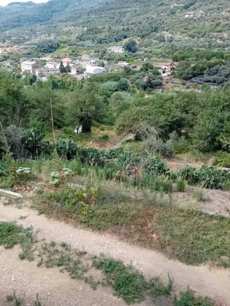 Villa Trifamiliare via Sp 64, Dolceacqua