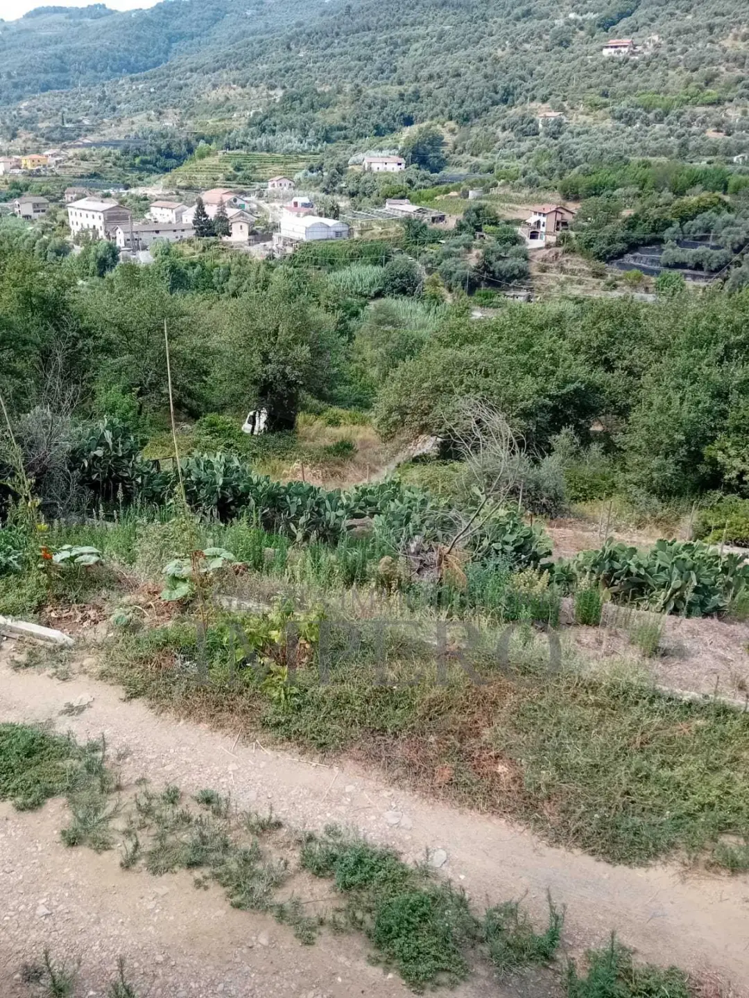 Immagine per Villa trifamiliare in vendita a Dolceacqua via Sp 64