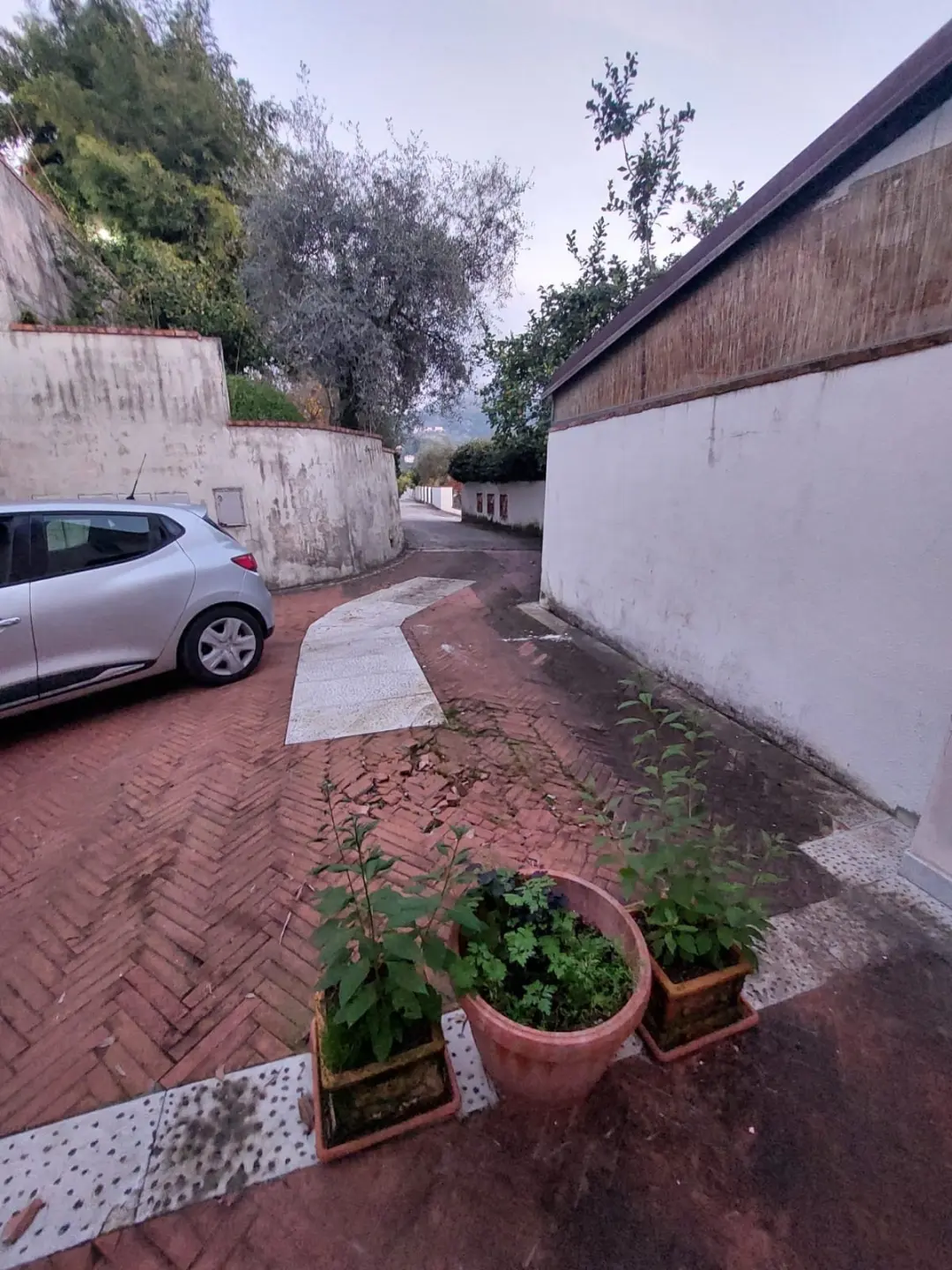 Immagine per Terratetto in vendita a Carrara via Cavour 15