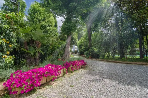 Albergo via Di Vicopelago E Di Pozzuolo, San Concordio Contrada, Lucca