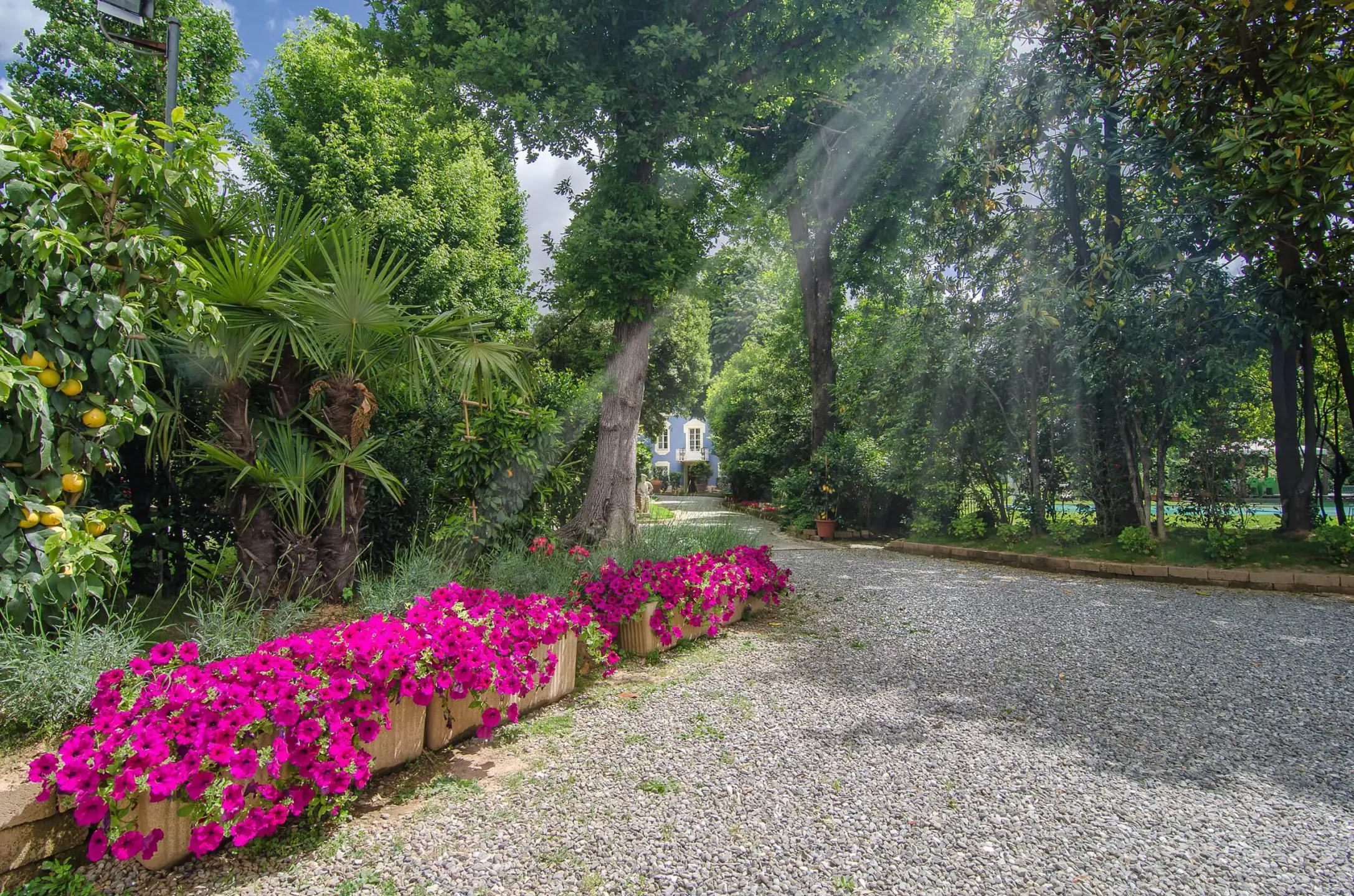Immagine per Albergo in vendita a Lucca via Di Vicopelago E Di Pozzuolo