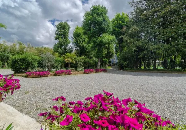 Albergo via Di Vicopelago E Di Pozzuolo, San Concordio Contrada, Lucca