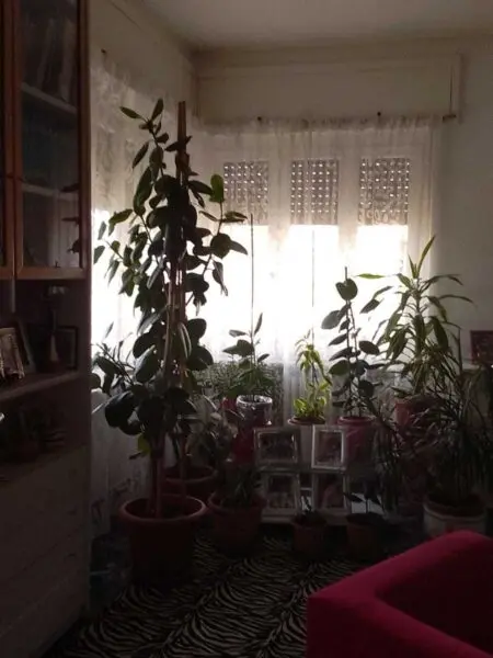 Appartamento Agliè