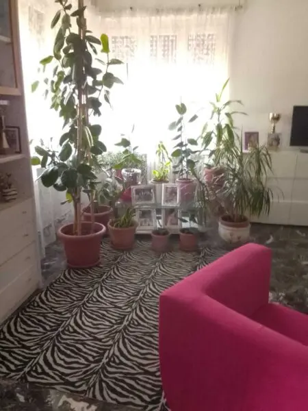 Appartamento Agliè