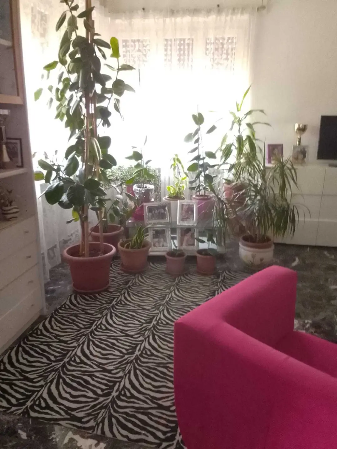 Immagine per Appartamento in vendita a Agliè