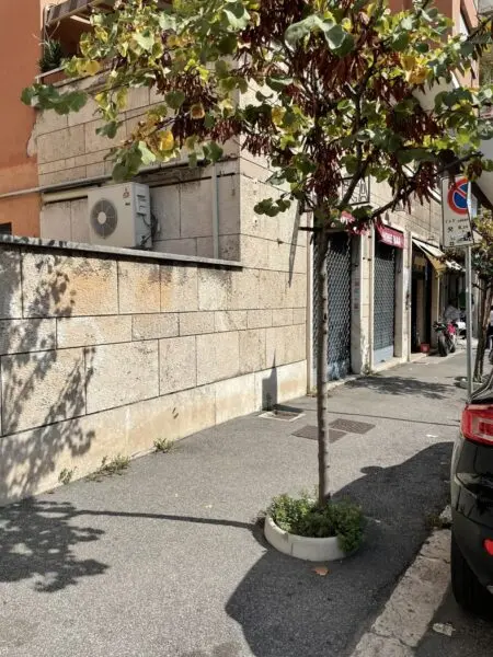 Negozio via Madonna Del Riposo, Roma