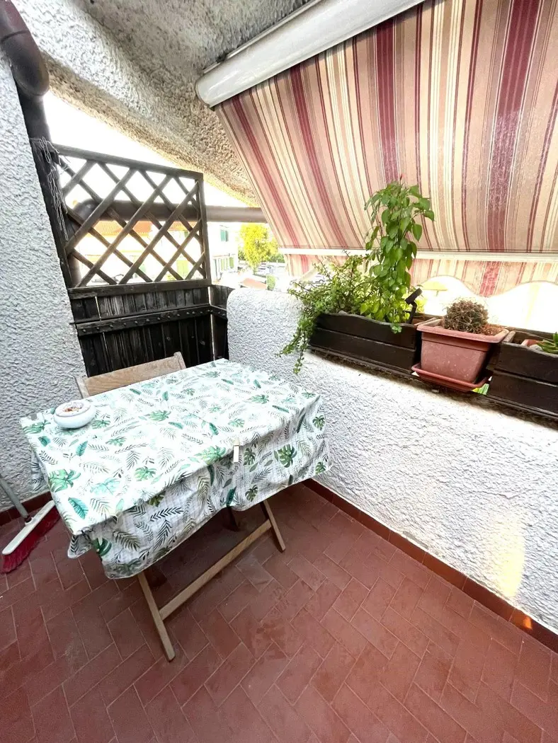 Immagine per Appartamento in vendita a Cerveteri via Adria