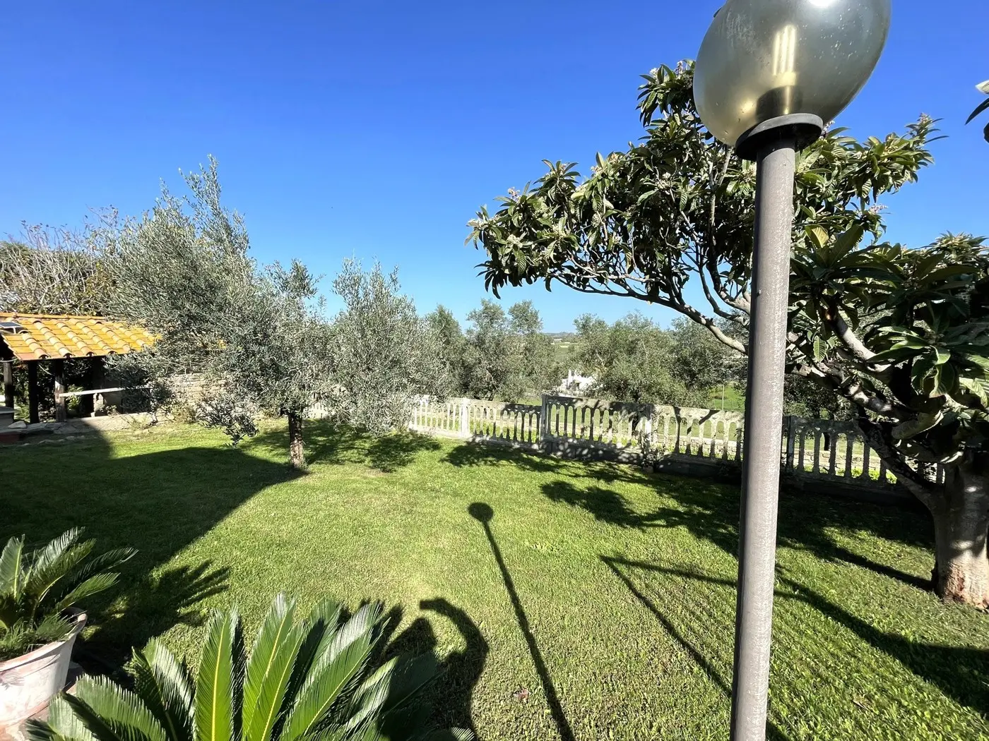Immagine per Casa Indipendente in vendita a Cerveteri via Corrado Da Magonza