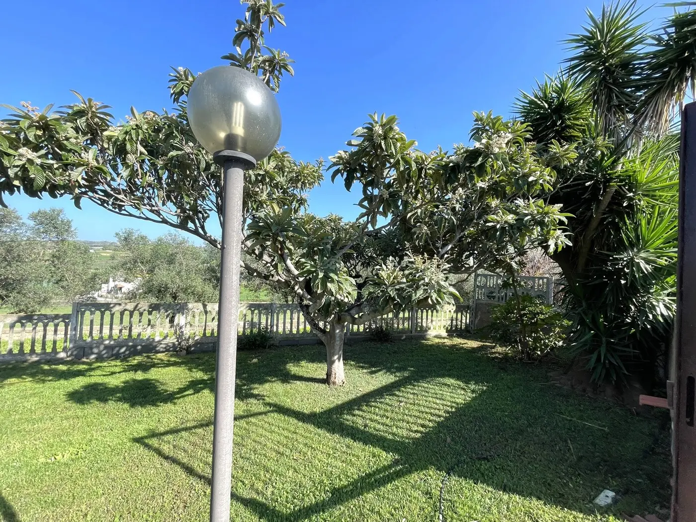 Immagine per Casa Indipendente in vendita a Cerveteri via Corrado Da Magonza