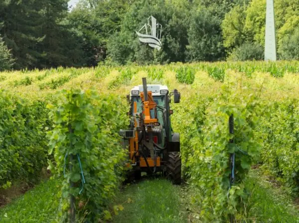 Terreno Agricolo Bolzano