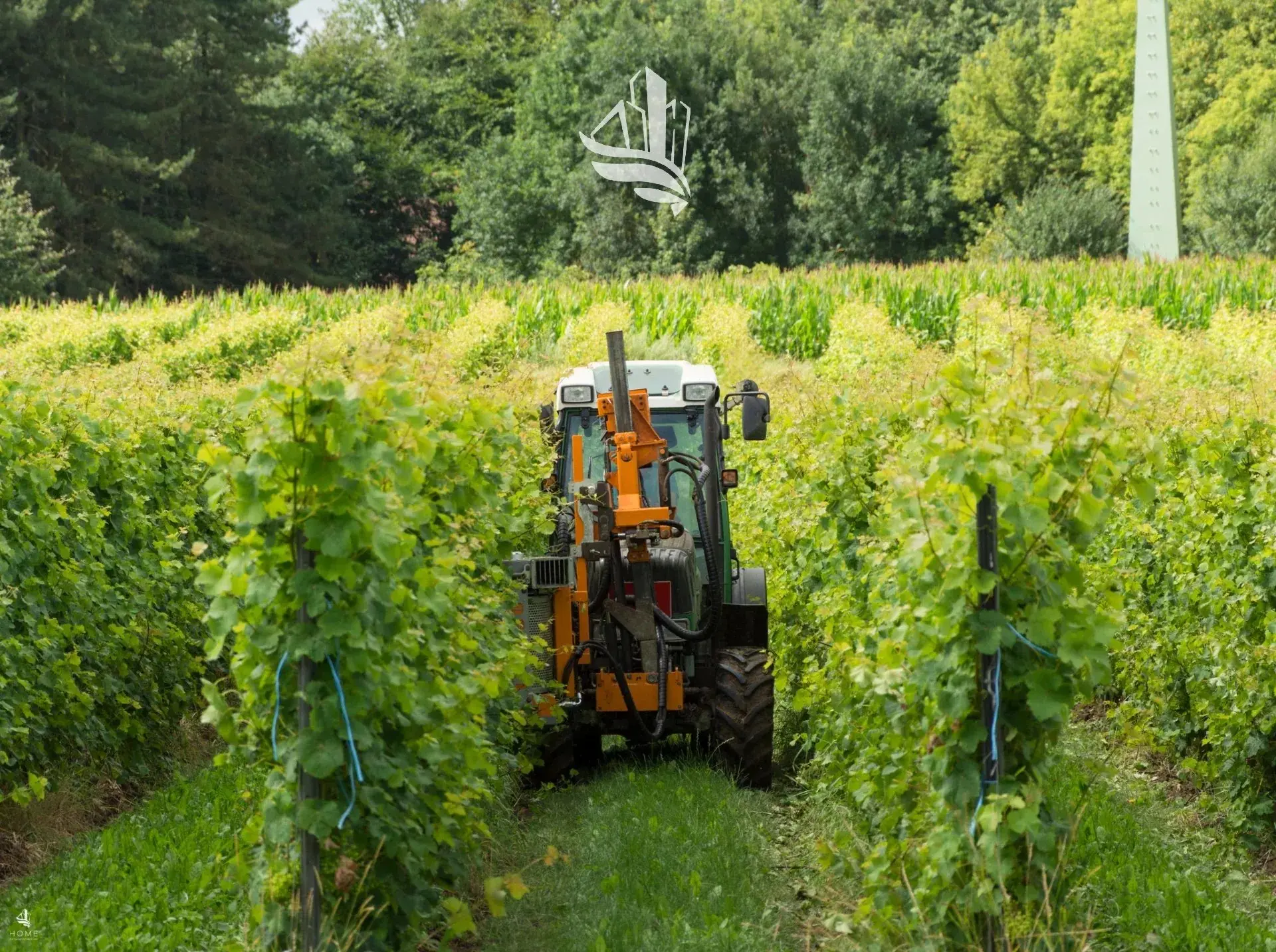 Immagine per Terreno agricolo in vendita a Bolzano