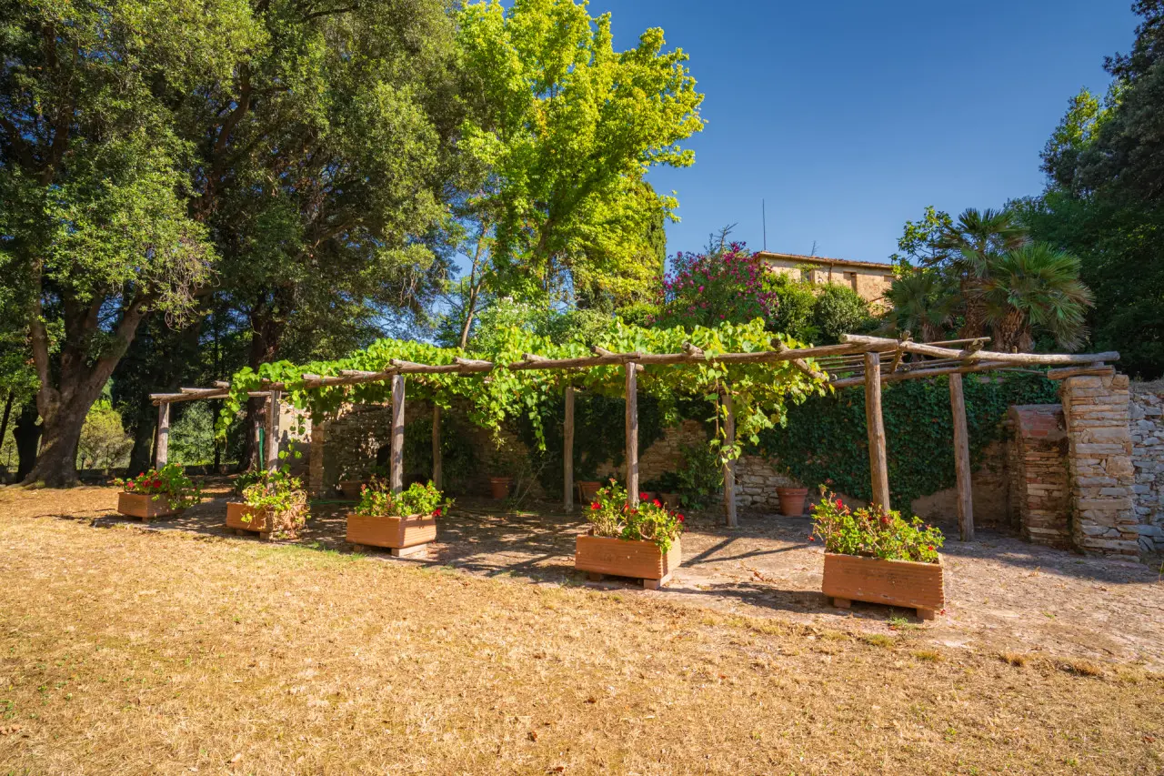 Immagine per Villa Bifamiliare in Vendita a Sassetta Via Del Poggio 50