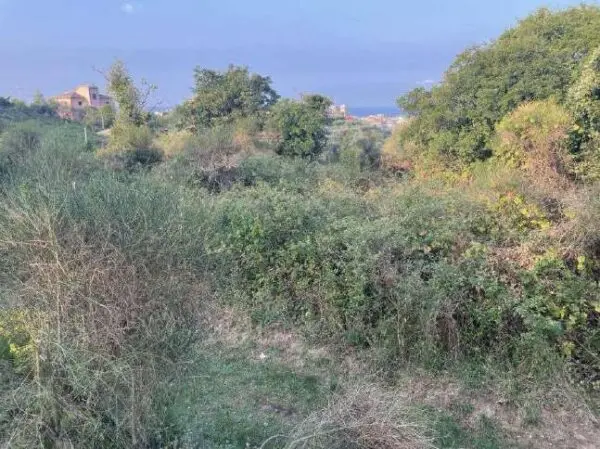 Terreno Agricolo via Madonna Della Neve Snc, Lavagna