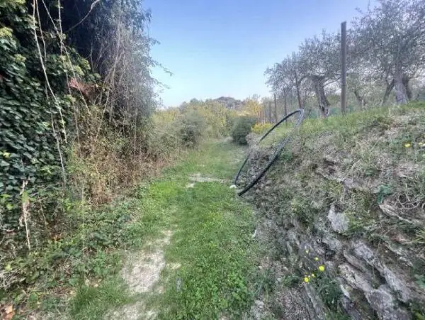 Terreno Agricolo via Madonna Della Neve Snc, Lavagna