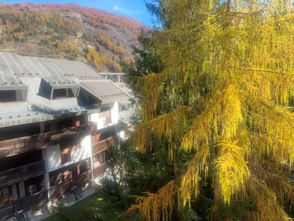 Appartamento via Montenero 31, Bardonecchia