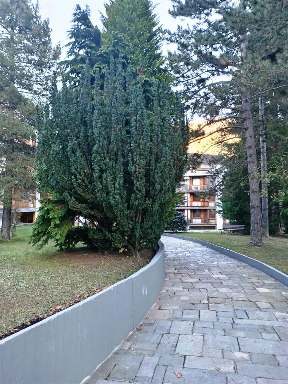 Immagine per Appartamento in affitto a Bardonecchia via Verdi 27