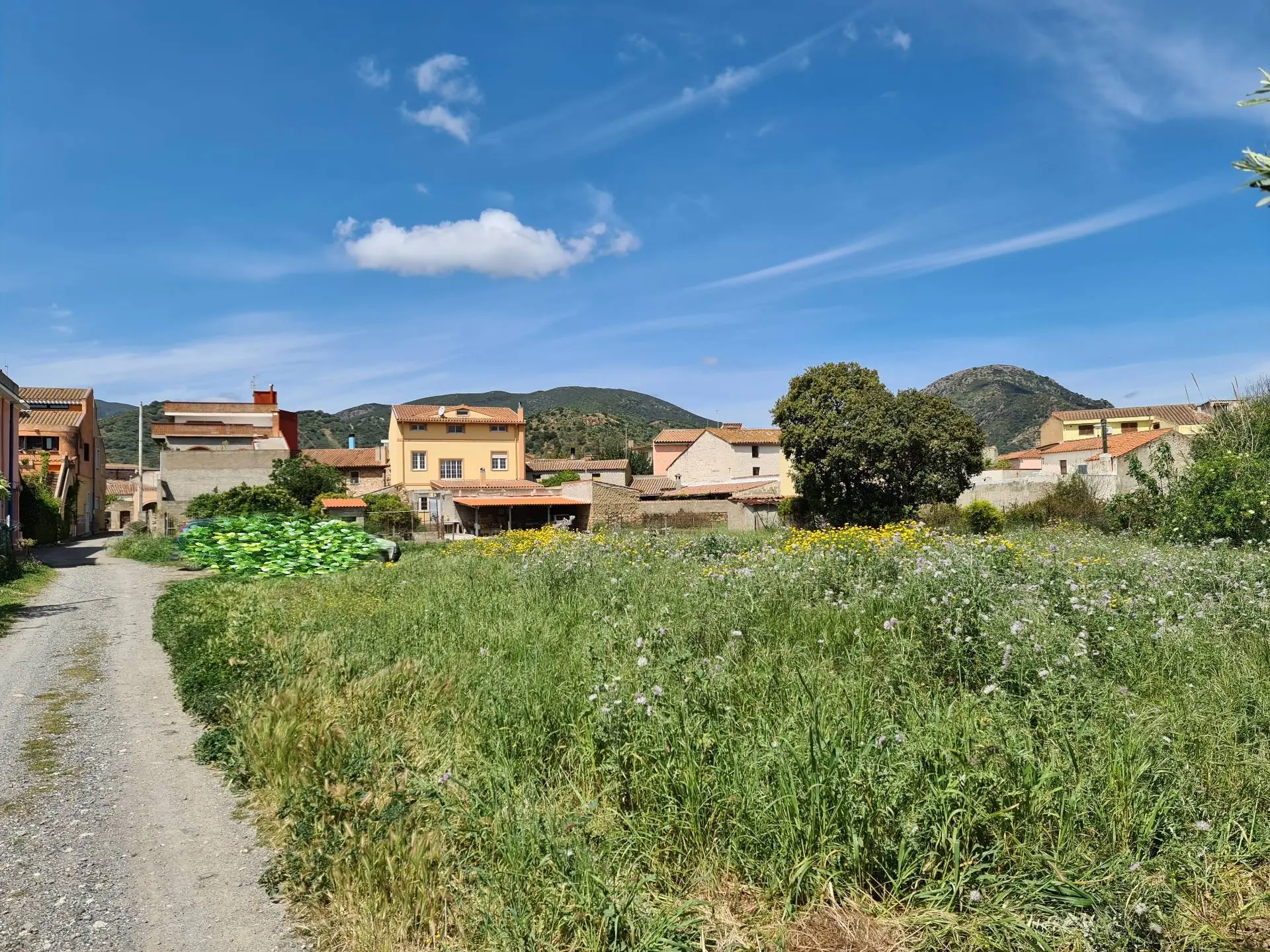 Immagine per Terreno Edificabile in vendita a San Vito Via Paoli