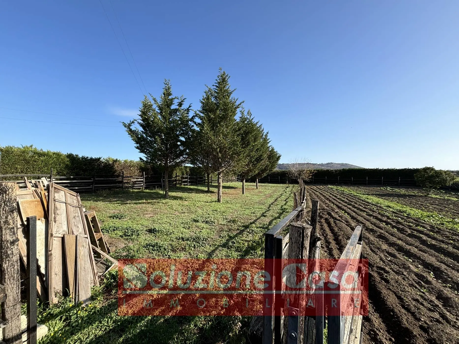 Immagine per Villa in vendita a Minervino Murge Contrada Sardoni