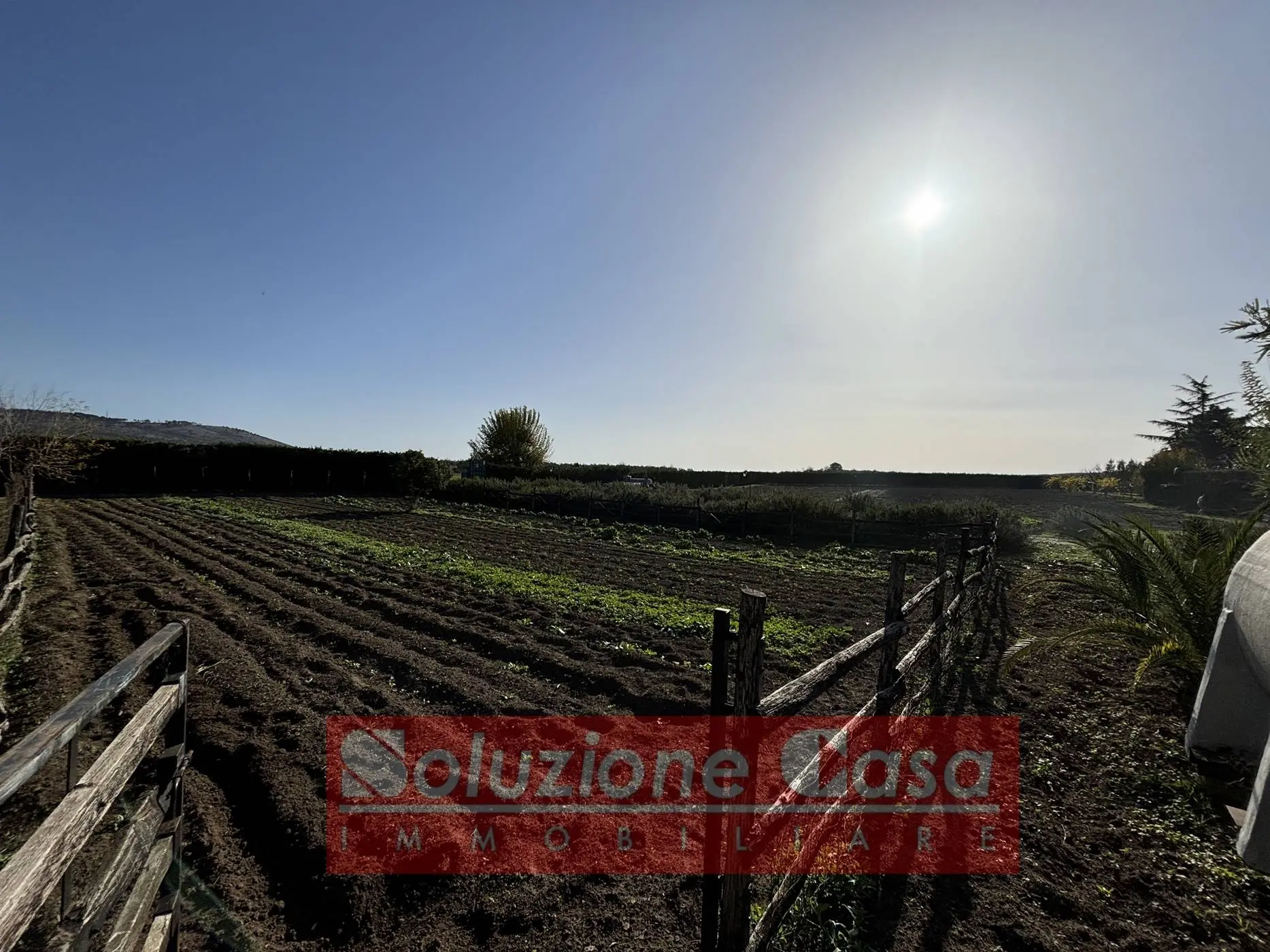 Immagine per Villa in vendita a Minervino Murge Contrada Sardoni